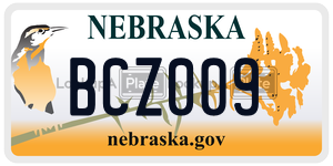 BCZ009  license plate in NE