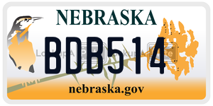 BDB514  license plate in NE