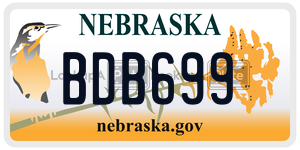 BDB699  license plate in NE
