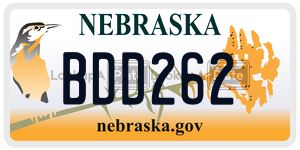 BDD262  license plate in NE