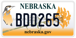 BDD265  license plate in NE
