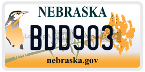 BDD903  license plate in NE