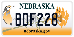 BDF228  license plate in NE
