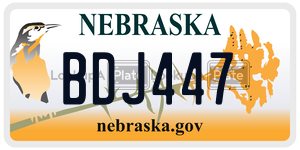 BDJ447  license plate in NE