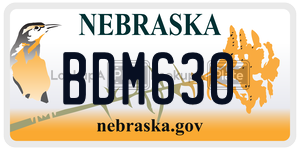 BDM630  license plate in NE
