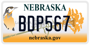 BDP567  license plate in NE