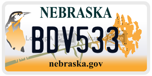 BDV533  license plate in NE
