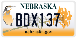 BDX137  license plate in NE