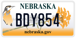 BDY854  license plate in NE
