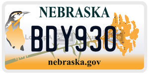 BDY930  license plate in NE