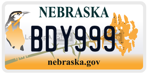 BDY999  license plate in NE