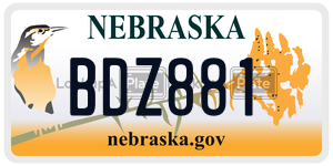 BDZ881  license plate in NE