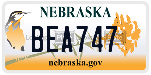 BEA747  license plate in NE