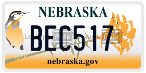 BEC517  license plate in NE