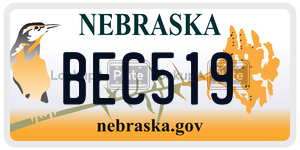 BEC519  license plate in NE