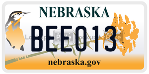 BEE013  license plate in NE