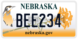 BEE234  license plate in NE