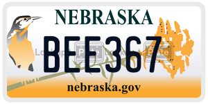 BEE367  license plate in NE