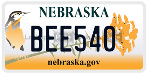 BEE540  license plate in NE