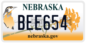 BEE654  license plate in NE