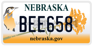 BEE658  license plate in NE