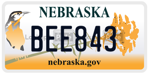 BEE843  license plate in NE