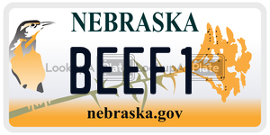 BEEF1  license plate in NE