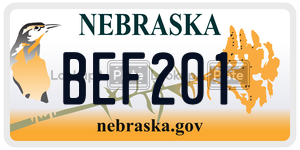 BEF201  license plate in NE