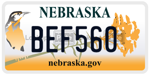 BEF560  license plate in NE