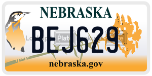 BEJ629  license plate in NE