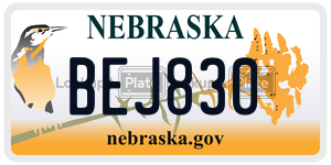 BEJ830  license plate in NE
