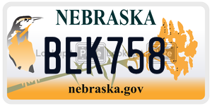 BEK758  license plate in NE