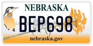 BEP698  license plate in NE