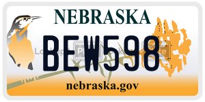 BEW598  license plate in NE