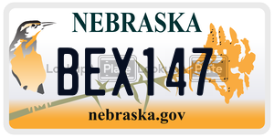 BEX147  license plate in NE