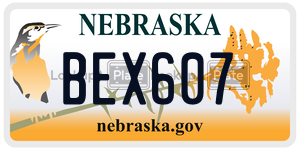 BEX607  license plate in NE