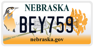 BEY759  license plate in NE