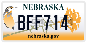 BFF714  license plate in NE