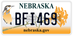 BFI469  license plate in NE