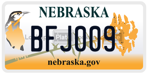 BFJ009  license plate in NE