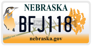 BFJ118  license plate in NE