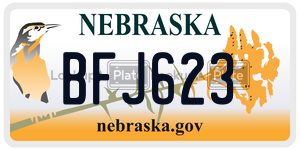 BFJ623  license plate in NE