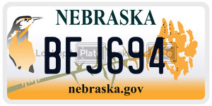 BFJ694  license plate in NE