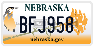 BFJ958  license plate in NE
