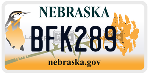 BFK289  license plate in NE