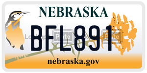 BFL891  license plate in NE