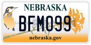 BFM099  license plate in NE
