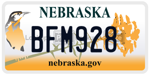 BFM928  license plate in NE