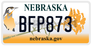 BFP873  license plate in NE