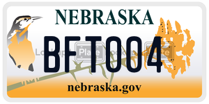 BFT004  license plate in NE